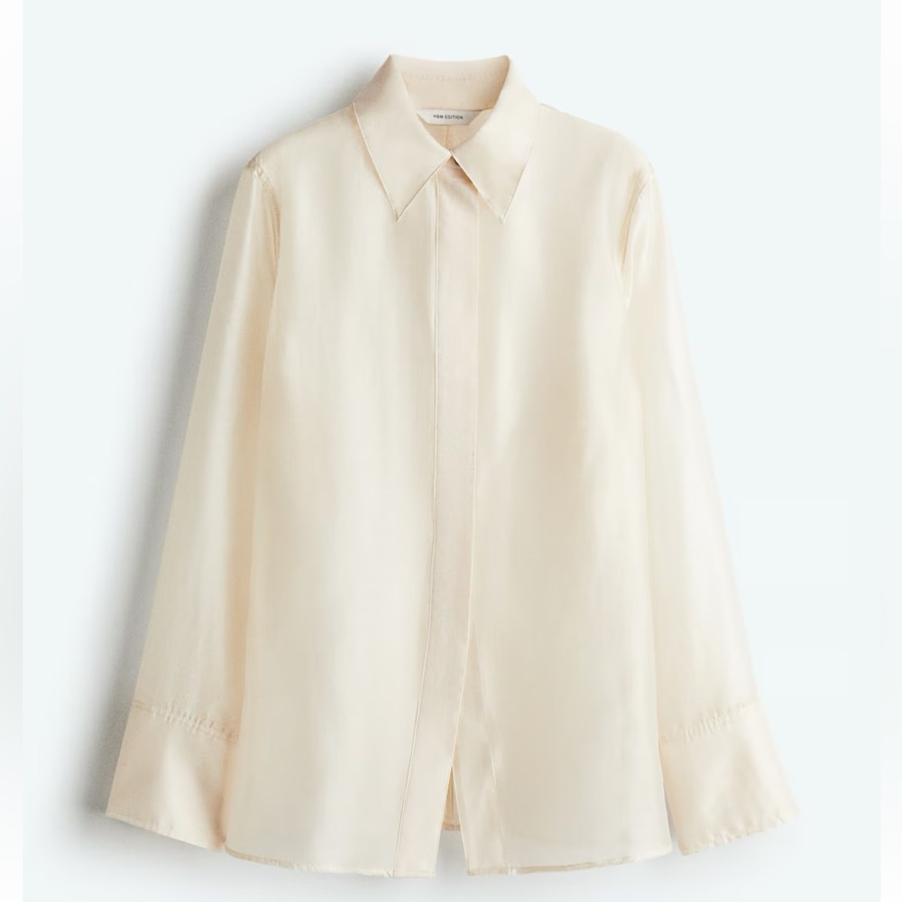 H&M Button Down Sheer Shirt - Picture 9 of 9